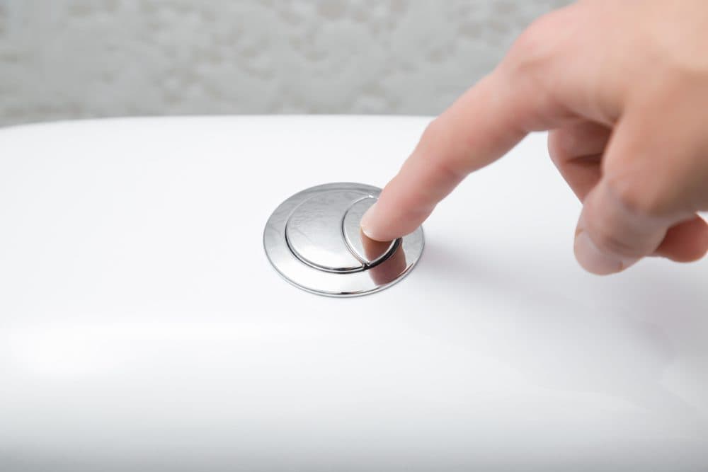 Advantages and Disadvantages of Dual Flush Toilets