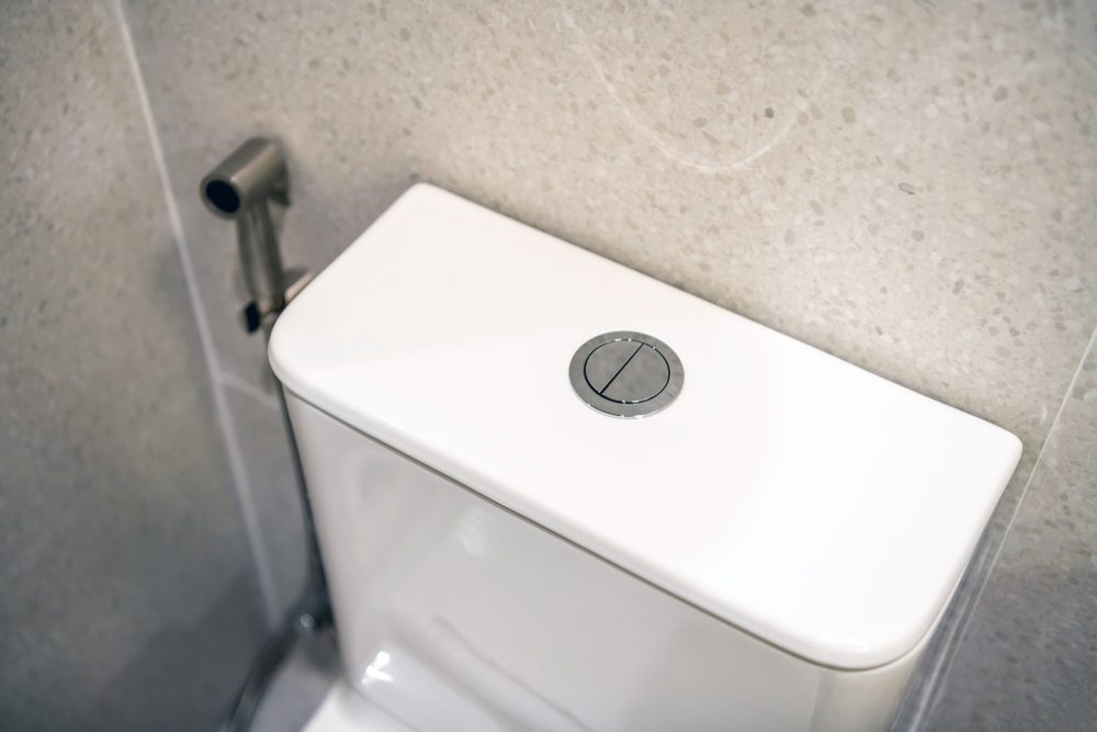 Advantages and Disadvantages of Dual Flush Toilets